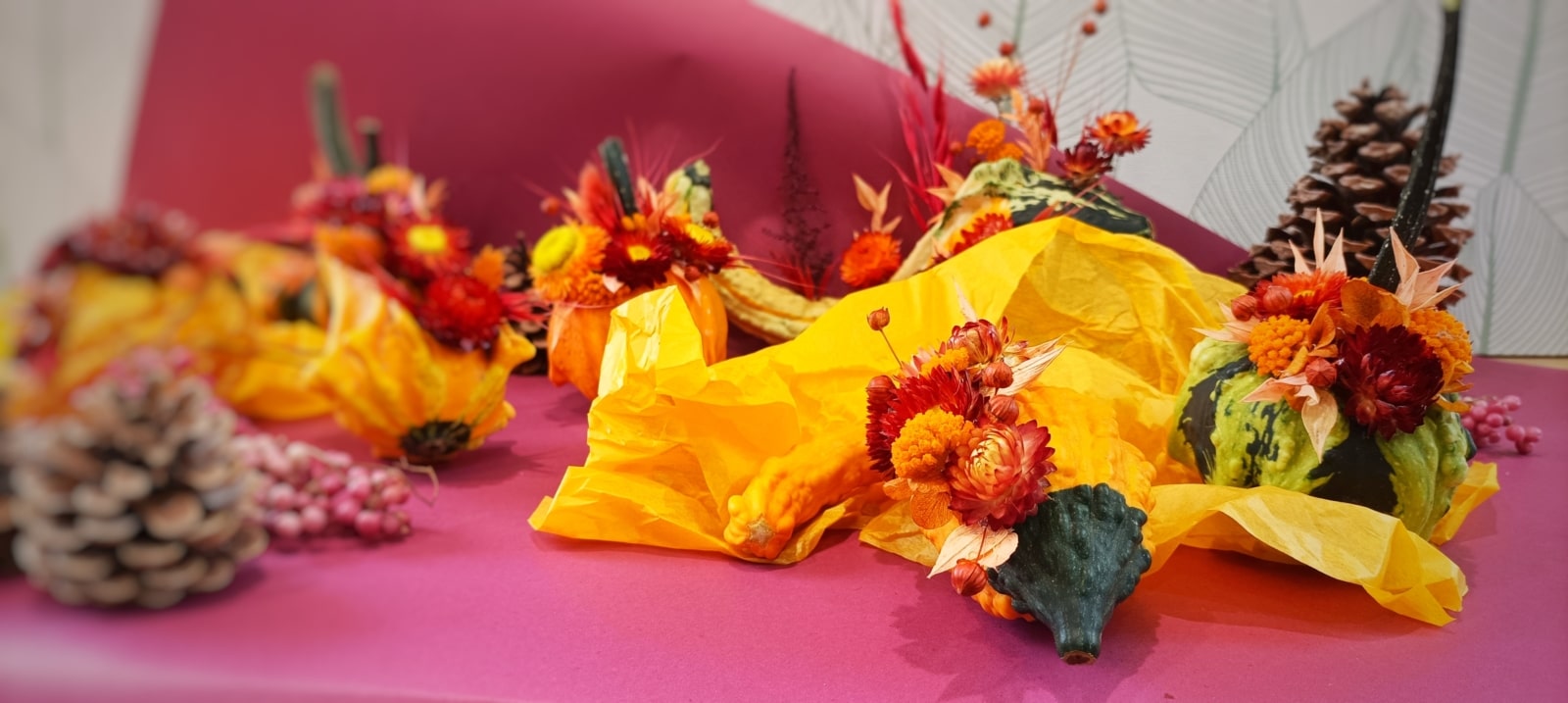 Couleurs d'automne. Fleurs séchées. Courges. Cucurbitacées. Fleuriste Angers. Fleuriste Saint Barthélémy d'Anjou.